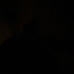 Meet your Posher, Rick